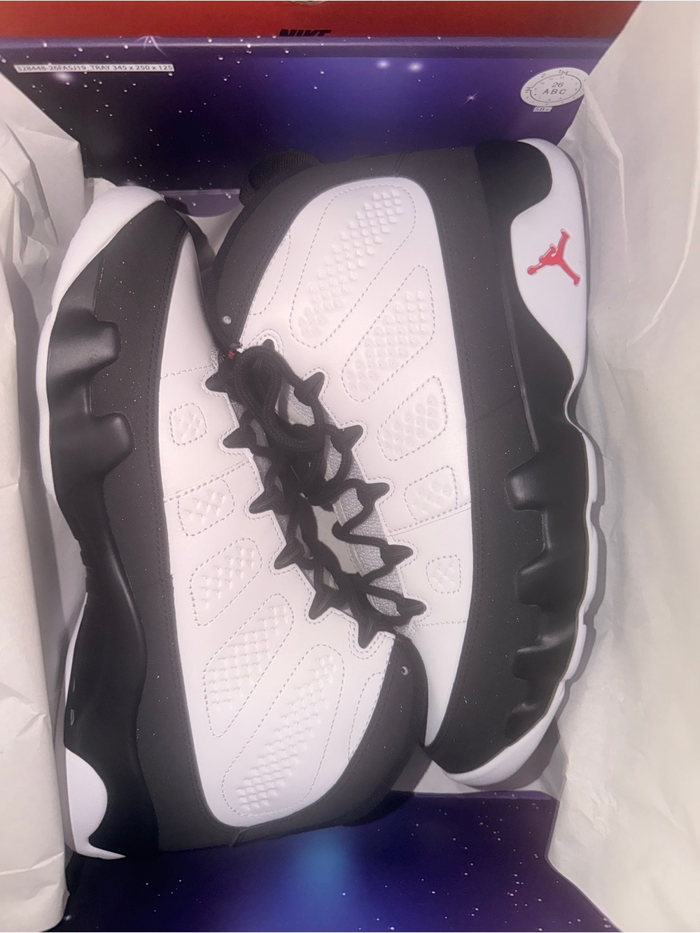 Jordan Space Jam - retro 9